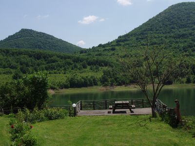 P1010048.jpg