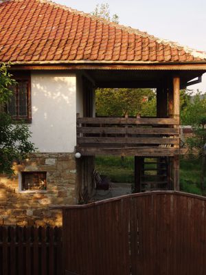 P1010058.jpg