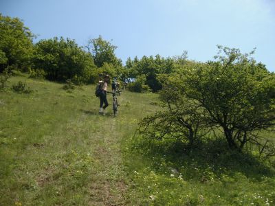 DSCI2859.jpg