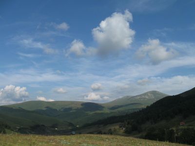 img_8527_1.jpg
